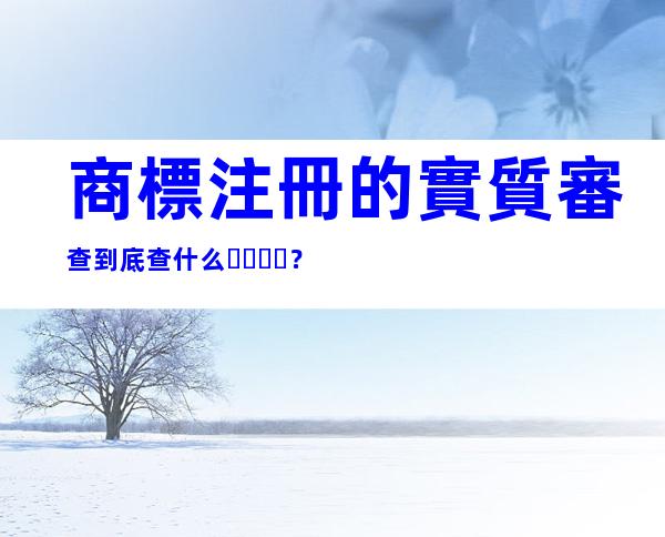 商標注冊的實質審查到底查什么？